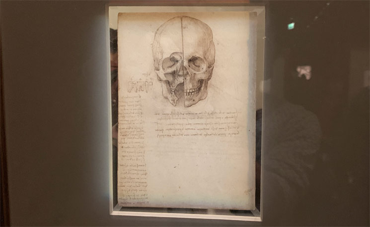 レオナルド・ダ・ヴィンチ作 頭蓋骨の素描画