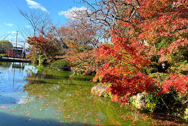清水寺の紅葉風景