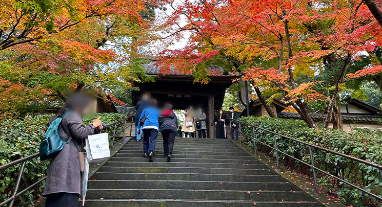 円覚寺 紅葉時期の総門と階段