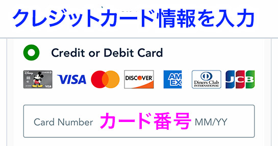 クレジットカード情報の入力項目1