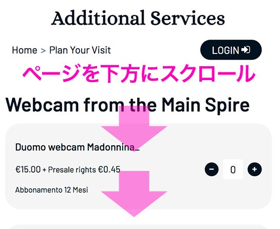 ミラノ ドゥオーモ公式サイト 追加オプションの選択ページ