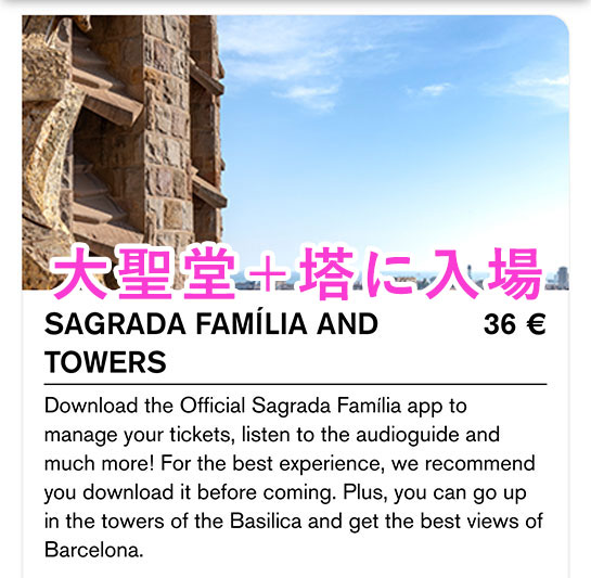 公式予約ページのチケット種類選択項目 -   SAGRADA FAMÍLIA AND TOWERS