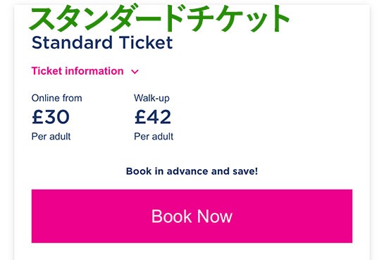 ロンドン アイ - Standard Ticket(通常チケット)