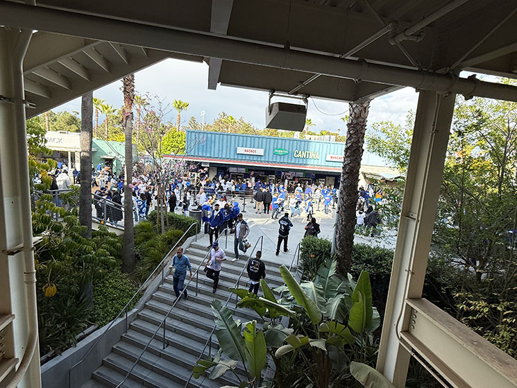 センターフィールド付近の飲食エリア