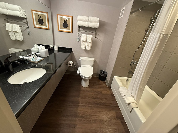 ミヤコホテルのバスルーム設備（ウォシュレット完備）