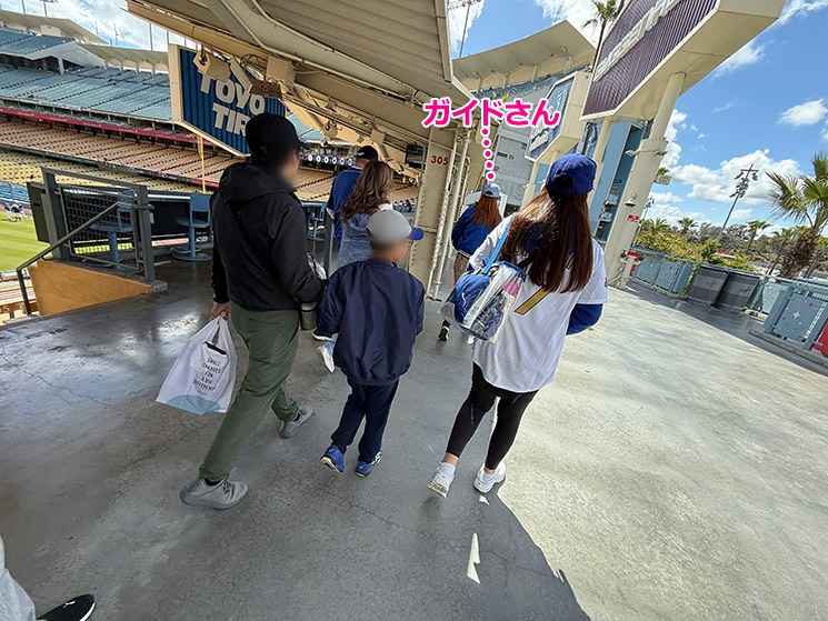 プレゲームツアーで訪問する外野席エリアから見るスタジアムの景観