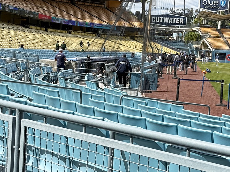 バックネット裏から見る前方の座席エリア