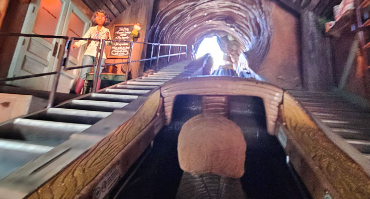 ティアナのバイユー・アドベンチャー