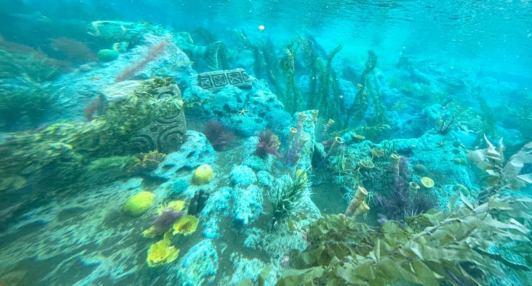 ファインディング・ニモ・サブマリン・ヴォヤッジ