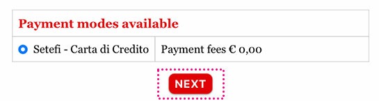 ヴェッキオ宮殿公式予約ページ - お支払いページへの案内が表示されるので「NEXT」ボタンをタップ