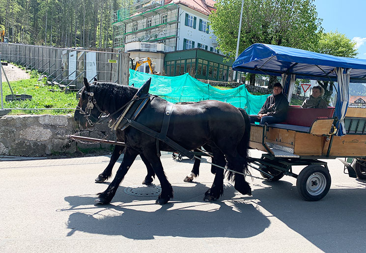 麓からノイシュヴァンシュタイン城への移動手段となる「馬車」
