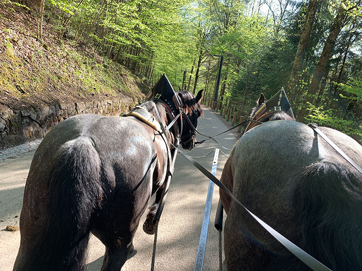 馬車で山道を下る様子