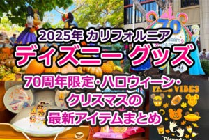 2025年 カリフォルニア・ディズニーの限定グッズを現地レポ｜70周年・ハロウィン・クリスマスの最新アイテム紹介