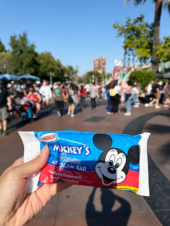 カリフォルニア・ディズニー・アドベンチャーパークで購入したアイスクリームの外袋