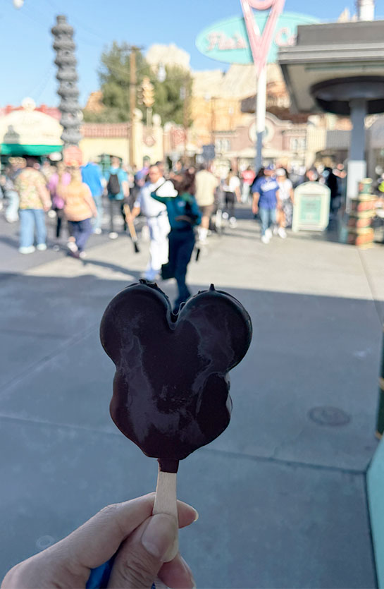 カリフォルニア・ディズニー・アドベンチャーパークで購入したアイスクリーム