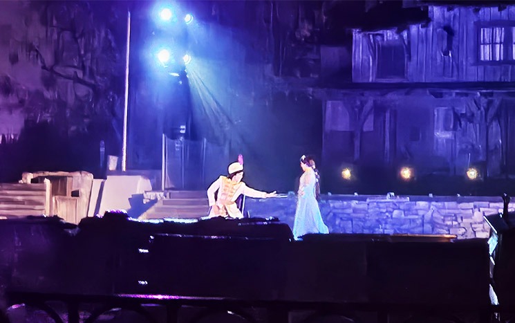 ファンタズミック！のショー風景 - 「アラジン」と「ジャスミン」