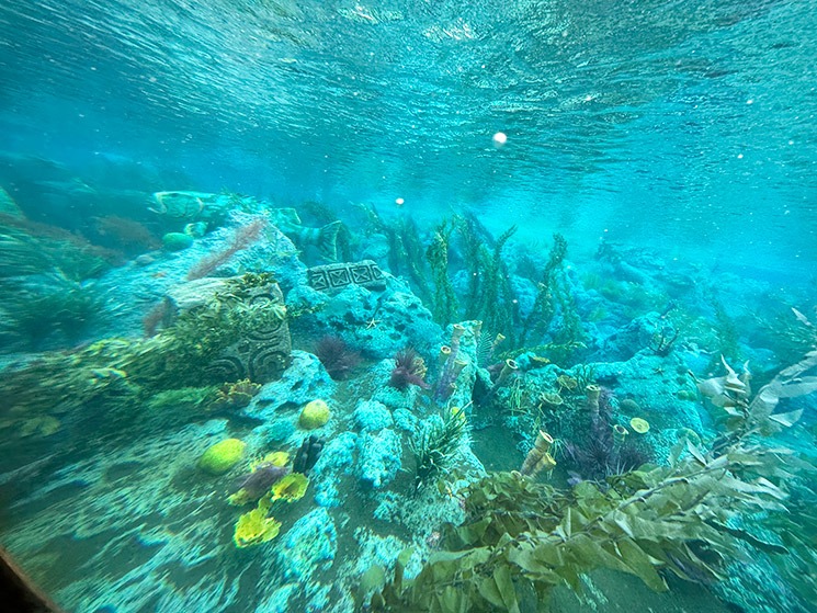 ファインディング・ニモ・サブマリン・ヴォヤッジのアトラクション風景