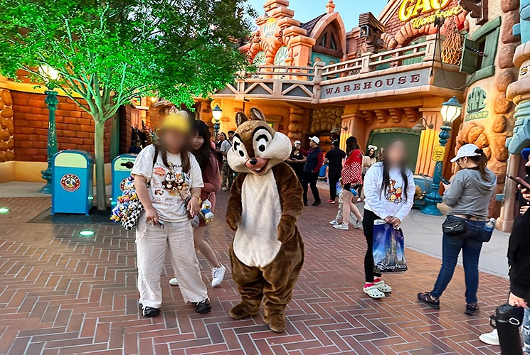 グリーティングのチップ