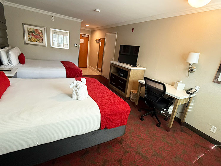 デザート パームズ ホテル ＆ スイーツのデラックス クイーンルーム