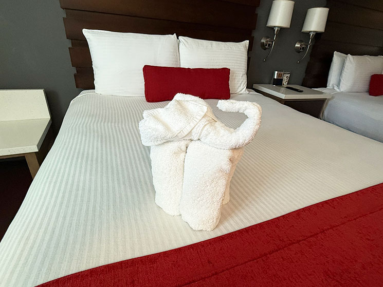 デザート パームズ ホテル ＆ スイーツの客室に飾られたタオルアートの象