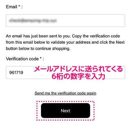 ヴェルサイユ宮殿 公式予約ページ - メール認証画面でメールアドレスに届く6桁の数字を入力