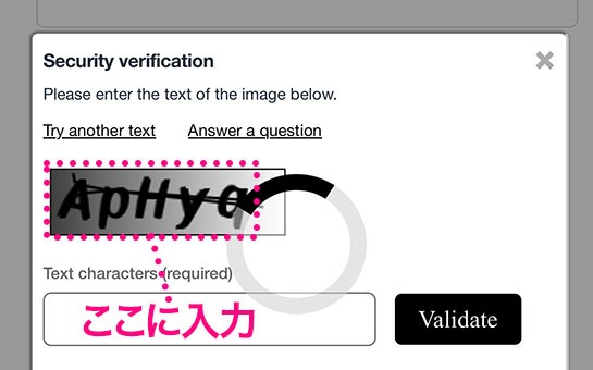 オルセー美術館 公式チケット予約サイト 画像認証の入力説明