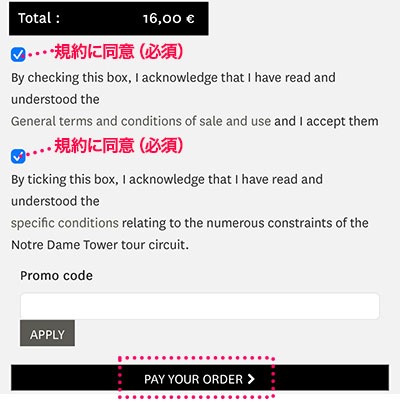規約同意項目のボックス2箇所にチェックを入れて「PAY YOUR ORDER」をタップ
