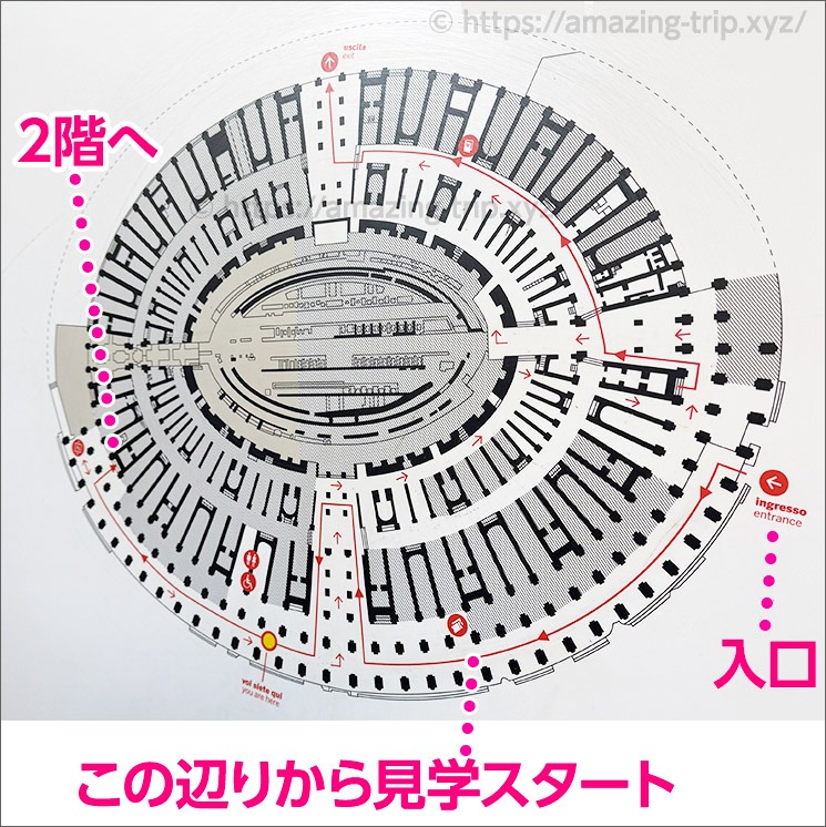 コロッセオ地上階（Level 1）フロアマップ 入口・現在地・見学順路図