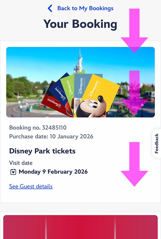 パリ・ディズニーランド公式HPの「Access my Park Tickets - 購入済みチケットへのアクセスボタン」 