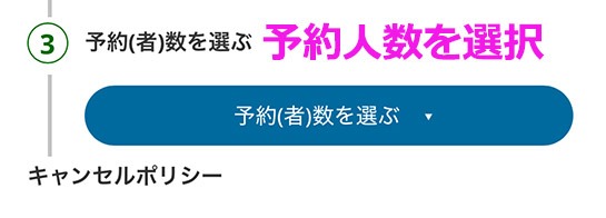 楽天トラベル観光体験 パリ ディズニーランド パークチケットの販売ページ - 予約(者)数の選択項目