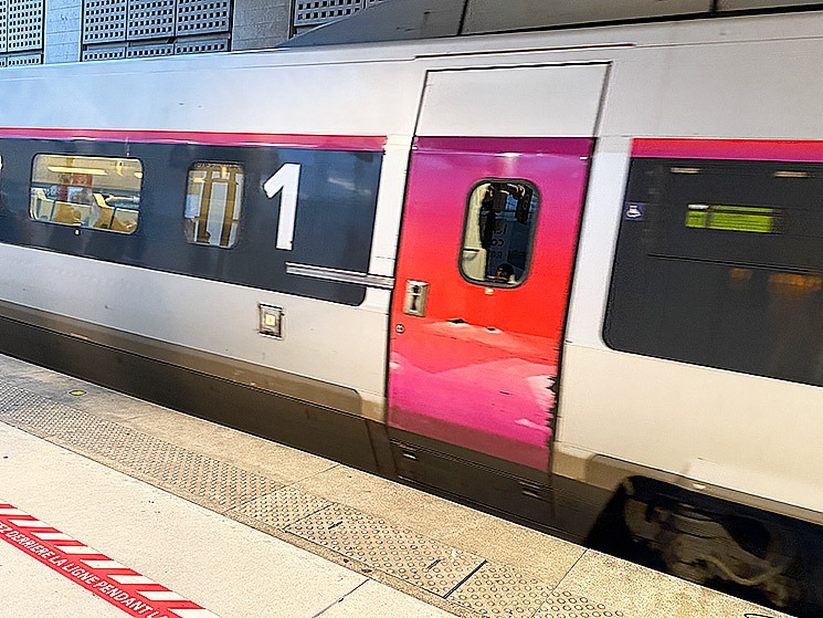 高速鉄道TGVの1等席車両